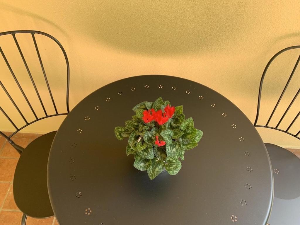 Apartament Elsa Werona Zewnętrze zdjęcie